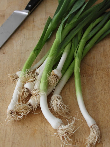 Cream of Green Garlic & Potato Soup